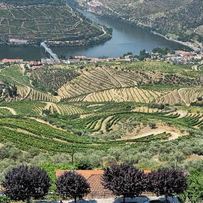 Miradouro de Casal de Loivos Pinhão Itinerary: Full Day Guide