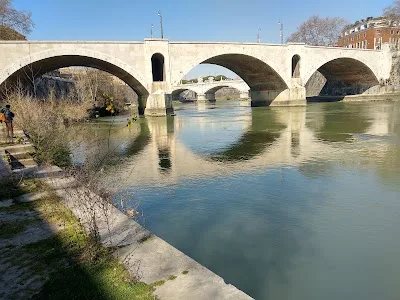 Trastevere Unveiled: A Local's Guide to Rome's Most Authentic Neighborhood