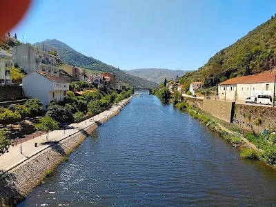 Best Food in Douro Valley: Local Wine & Harvest Experiences