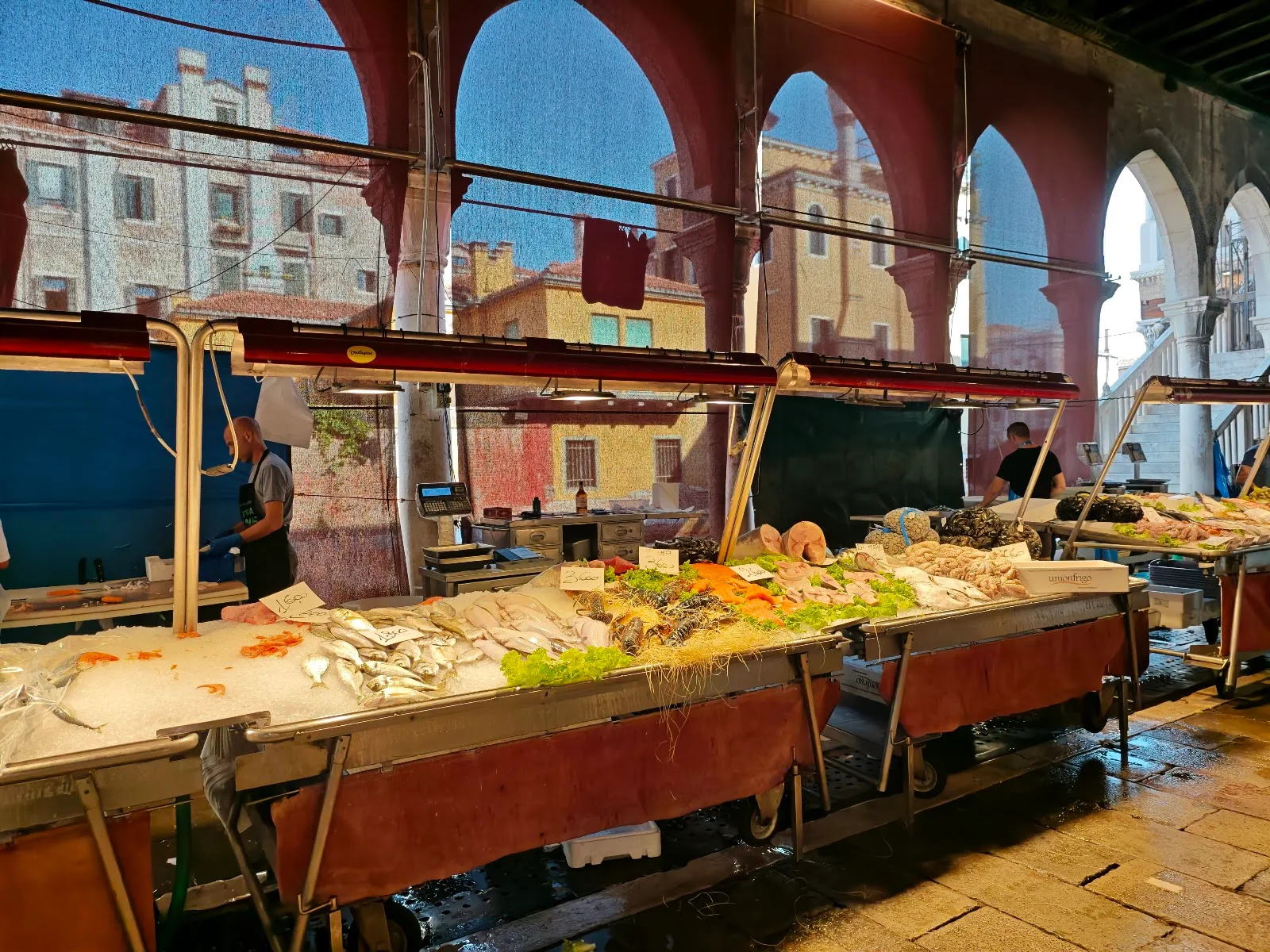 Rialto Market Venice: Local Food Guide & Best Seafood Buys