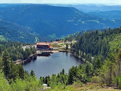 Mummelsee Black Forest: Best Spots, Times & Photography Guide