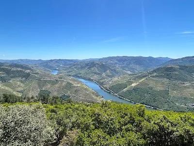 Best Food Near Miradouro de Galafura: Douro Valley Wineries