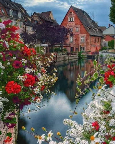 Colmar Old Town, Colmar: Autumn Neighborhood Guide